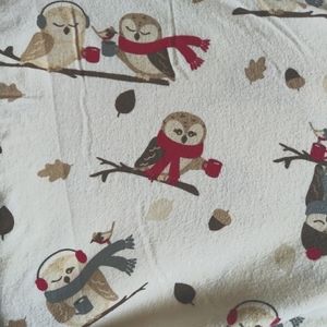 Twin flannel sheet set - winter owl theme ❄